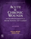 Acute and Chronic Wounds: Intraprofessionals from Novice to Expert By Ruth Bryant, Denise Nix Cover Image