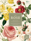 The Rose: The History of the World's Favourite Flower in 40 Captivating Roses with Classic Texts and Rare Beautiful Prints By Brent Elliott Cover Image