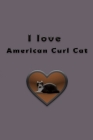 I love American Curl Cat By Rach Yag Cover Image
