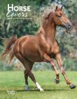 Horse Lovers 2020 Engagement Cover Image