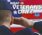 What Is Veterans Day? (I Like Holidays!) By Elaine Landau Cover Image