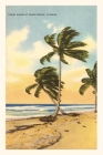 Vintage Journal Palm Trees, Miami Beach, Florida By Found Image Press (Producer) Cover Image