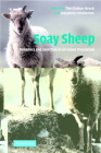 Soay Sheep By T. H. Clutton-Brock (Editor), J. M. Pemberton (Editor) Cover Image