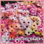 Texas Wildflowers Calendar 2021: Official Texas Wildflowers Calendar 2021, 12 Months Cover Image
