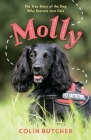 Molly: The True Story of the Dog Who Rescues Lost Cats By Colin Butcher Cover Image
