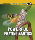 Powerful Praying Mantids By Melissa Higgins Cover Image