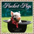 Pocket Pigs: Teacup Pigs of Pennywell Farm Calendar 2011 By Richard Austin (Filmed/photographed by) Cover Image