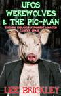 UFO's Werewolves & The Pig-Man: Exposing England's Strangest Location - Cannock Chase By Lee Brickley Cover Image
