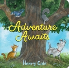 Adventure Awaits By Henry Cole, Henry Cole (Illustrator) Cover Image