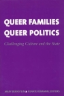 Queer Families, Queer Politics: Challenging Culture and the State (Between Men-Between Women: Lesbian and Gay Studies) By Mary Bernstein (Editor), Renate Reimann (Editor) Cover Image