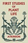 First Studies of Plant Life (Yesterday's Classics) Cover Image