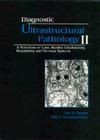 Diagnostic Ultrastructural Pathology, Volume II: A Text-Atlas of Case Studies Emphasizing Respiratory and Nervous Systems (Diagnostic Ultrastructural Pathology II #2) By Ann M. Dvorak, Rita A. Monahan-Earley Cover Image