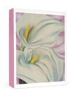 Georgia O'Keeffe: Two Calla Lilies on Pink Small Boxed Cards By O'Keeffe Georgia (Illustrator) Cover Image