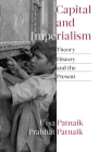 Capital and Imperialism: Theory, History, and the Present Cover Image
