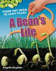 A Bean's Life Cover Image