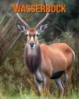 Wasserbock: Buch mit erstaunlichen Fotos und lustigen Fakten für Kinder By Kathi Hession Cover Image