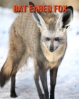 Bat Eared Fox: Beautiful Pictures & Interesting Facts Children Book About Bat Eared Fox By Katie Mercer Cover Image