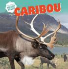 Caribou (North America's Biggest Beasts) By Joyce Jeffries Cover Image