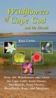 Wildflowers of Cape Cod & the Islands: 150 Wildflowers that Grow on Cape Cod's Sand Dunes, Heathlands, Ponds, Woodlands, Bogs and Meadows By Kate Carter Cover Image