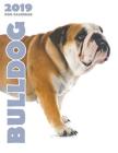 Bulldog 2019 Dog Calendar Cover Image