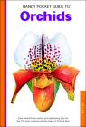 Handy Pocket Guide to Orchids (Handy Pocket Guides) By David P. Banks Cover Image