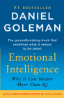 Emotional Intelligence: Why It Can Matter More Than IQ Cover Image