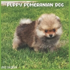 Pomeranian Puppy 2022 Calendar: Official Pomeranian Dog Breed 2022 Calendar 16 Months By Pro Calendar 2022-2023 Cover Image