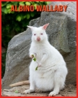 Albino Wallaby: Beautiful Pictures & Interesting Facts Children Book About Albino Wallaby By Emily Rennie Cover Image
