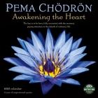 Pema Chodron 2023 Wall Calendar: A Year of Inspirational Quotes By Pema Chodron Cover Image