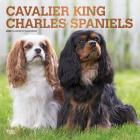Cavalier King Charles Spaniels 2020 Square Foil By Inc Browntrout Publishers Cover Image
