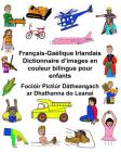Français-Gaélique Irlandais Dictionnaire d'images en couleur bilingue pour enfants Foclóir Pictiúr Dátheangach ar Dhathanna do Leanaí By Kevin Carlson (Illustrator), Jr. Carlson, Richard Cover Image