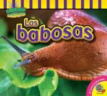 Las Babosas (Insectos Fascinantes) By John Willis Cover Image