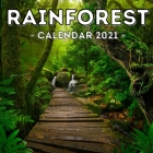 Rainforest Calendar 2021: 16-Month Calendar, Cute Gift Idea For Forest Lovers Women & Men Cover Image