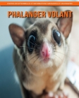 Phalanger Volant: Photos Exceptionnelles et Informations Amusantes et Fascinantes Cover Image