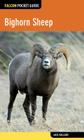 Bighorn Sheep (Falcon Pocket Guides) Cover Image