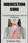 Indigestion Cure: An essential guide on how to take care of indigestion Cover Image