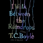 I Walk Between the Raindrops: Stories By T. C. Boyle, T. C. Boyle (Read by), Stephen Mendel (Read by) Cover Image