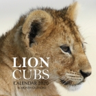 Lion Cubs Calendar 2020: 16 Month Calendar By Golden Print Cover Image