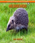 Hedgehog: Fun Facts Book for Children Cover Image