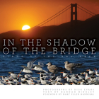 In the Shadow of the Bridge: Birds of the Bay Area By Dick Evans, Hannah Hindley (Text by (Art/Photo Books)), Mary Ellen Hannibal (Foreword by) Cover Image