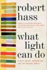 What Light Can Do: Essays on Art, Imagination, and the Natural World By Robert Hass Cover Image