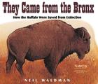 They Came from the Bronx: How the Buffalo Were Saved from Extinction By Neil Waldman Cover Image