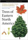 Trees of Eastern North America (Princeton Field Guides #93) Cover Image