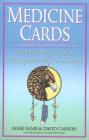Medicine Cards: The Discovery of Power Through the Ways of Animals By Jamie Sams, David Carson, Angela C. Werneke (Illustrator) Cover Image
