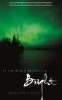 If the World Becomes So Bright (Made in Michigan Writers) By Keith Taylor Cover Image
