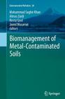 Biomanagement of Metal-Contaminated Soils (Environmental Pollution #20) By Mohammad Saghir Khan (Editor), Almas Zaidi (Editor), Reeta Goel (Editor) Cover Image