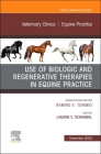 Use of Biologic and Regenerative Therapies in Equine Practice, an Issue of Veterinary Clinics of North America: Equine Practice: Volume 39-3 (Clinics: Veterinary Medicine #39) By Lauren V. Schnabel (Editor) Cover Image
