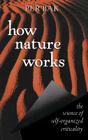 How Nature Works: The Science of Self-Organized Criticality Cover Image
