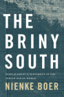 The Briny South: Displacement and Sentiment in the Indian Ocean World By Nienke Boer Cover Image