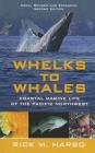 Whelks to Whales,  Revised Second Edition: Coastal Marine Life of the Pacific Northwest By Rick M. Harbo Cover Image